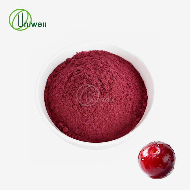 Chasteberry Extract Powder